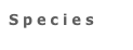 Species